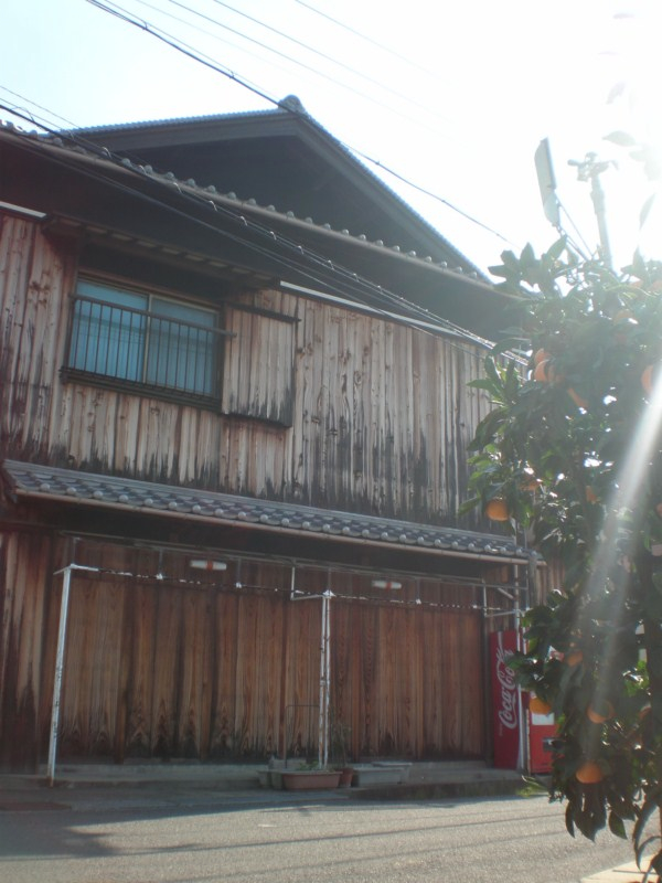 fransisca gallery
